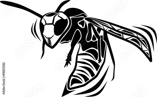 bee vector illustration