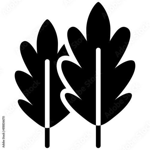 arugula solid icon