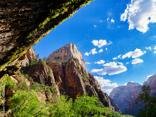 Stunning views amidst the majestic Zion National Park