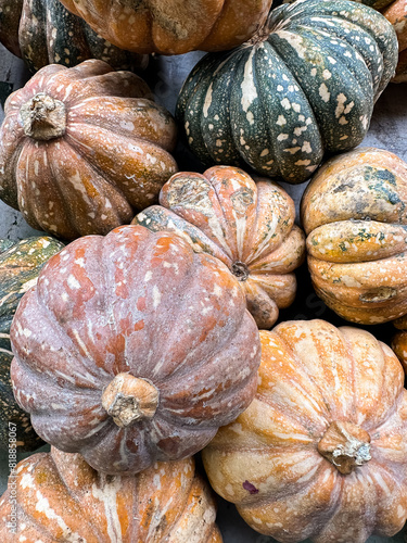 assorted colourful pumpkins for sale at the markets photo