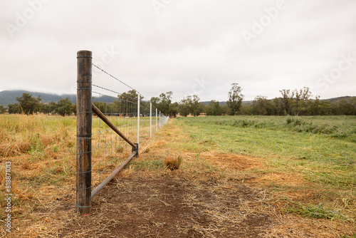New fence and strainer in a paddock photo