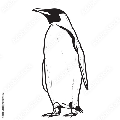 Penguin in cartoon, doodle style. Image for t-shirt, web, mobile apps and ui. Isolated 2d vector illustration in logo, icon, sketch style, Eps 10. AI Generative