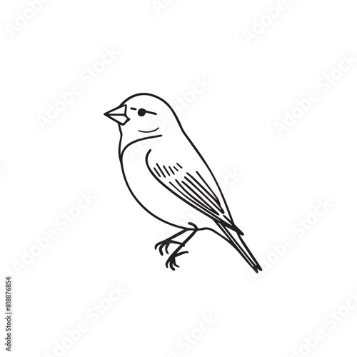 Finch in cartoon, doodle style. Image for t-shirt, web, mobile apps and ui. Isolated 2d vector illustration in logo, icon, sketch style, Eps 10. AI Generative