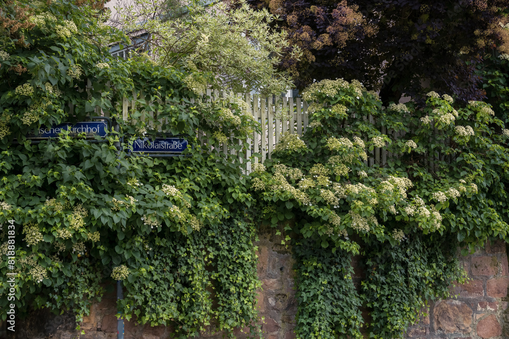 Φωτογραφία Innenstadt und Altstadt neu entdecken, Fachwerk Fenster