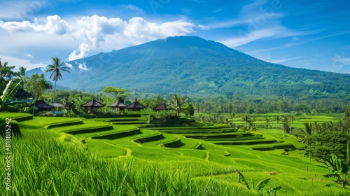 Scenic rural panorama of terraced rice fields with mountains in the background