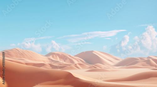 the desert landscape