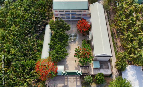 Amazing landscape of Mekong Delta village, school campus with red phoenix flowers tree bloom vibrant, highschool among coconut forest, flamboyant is symbol of summer and begin summertime vacation