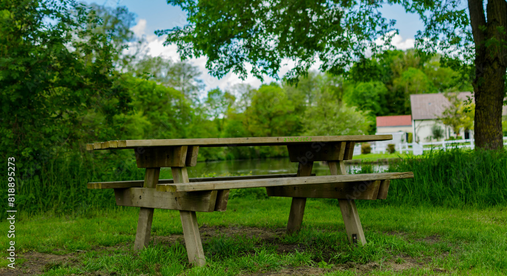 bench in the garden bench in the garden