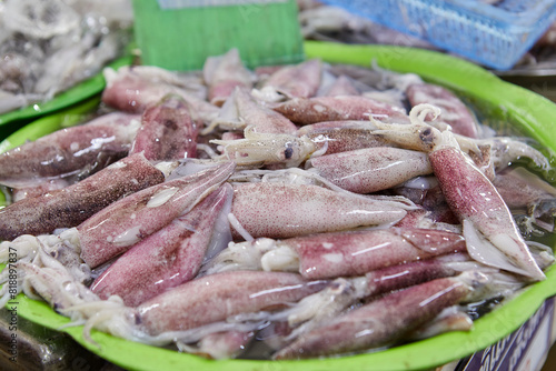 Fresh squid for sale in market 