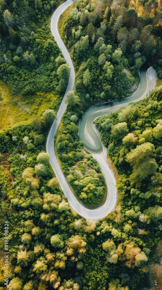 Aerial view of a winding road surrounded by trees and bushes Aerial view of a winding road surrounded by trees and bushes