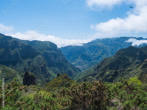 View of green hills, mountain landscape in clouds at blue sky. and lush vegetation at hiking trail PR12 to Pico Grande one of the highest peaks in the Madeira, Portugal © Kristyna