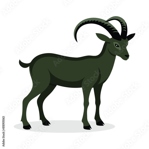  Ibex animal flat vector illustration on white background