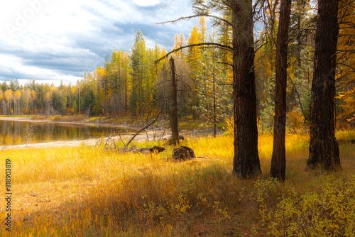 East Kootenay Mountain Scene photo