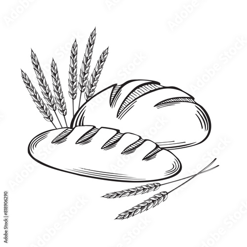 French loaf and round bread, wheat ears. Bakery goods, white and rye bread. Vector flat illustration linear, isolated. Sereals for flour. Template for wrapping, cookbook, menu, showcase, app, website.