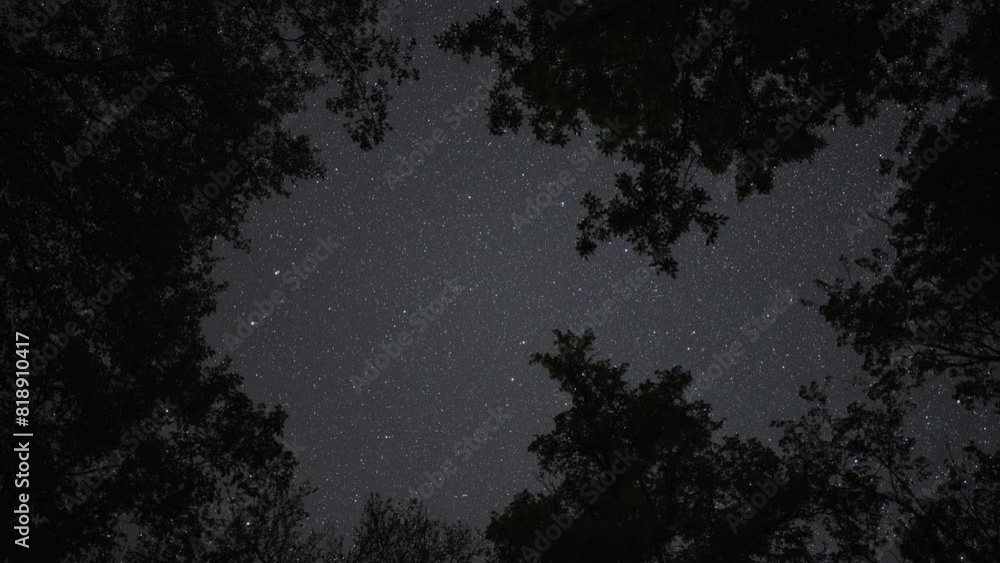 A starry night with a romantic and dreamy atmosphere. Observing the night sky with many stars through the branches of trees, far from the city.