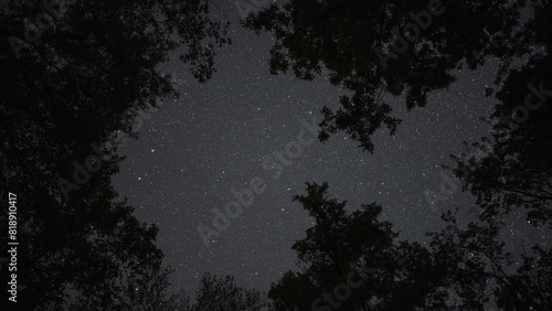 A starry night with a romantic and dreamy atmosphere. Observing the night sky with many stars through the branches of trees, far from the city.