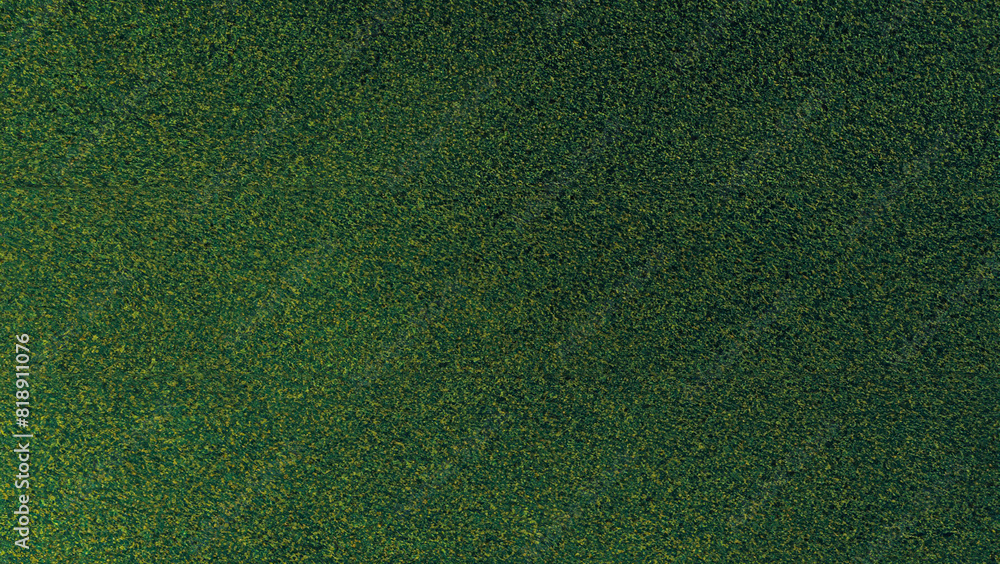 Luxurious Green Natural Carpet Texture, Ideal for Brochures, Invitations, Ads, and Web Templates Luxurious Green Natural Carpet Texture, Ideal for Brochures, Invitations, Ads, and Web Templates