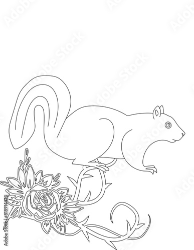 Squirrel and A Floral Vine Coloring Page. Printable Coloring Worksheet for Adults and Kids. Educational Resources for School and Preschool.