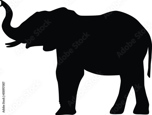 Silhouette of an elephant isolated on white. Illustration of elephant animal in wildlife