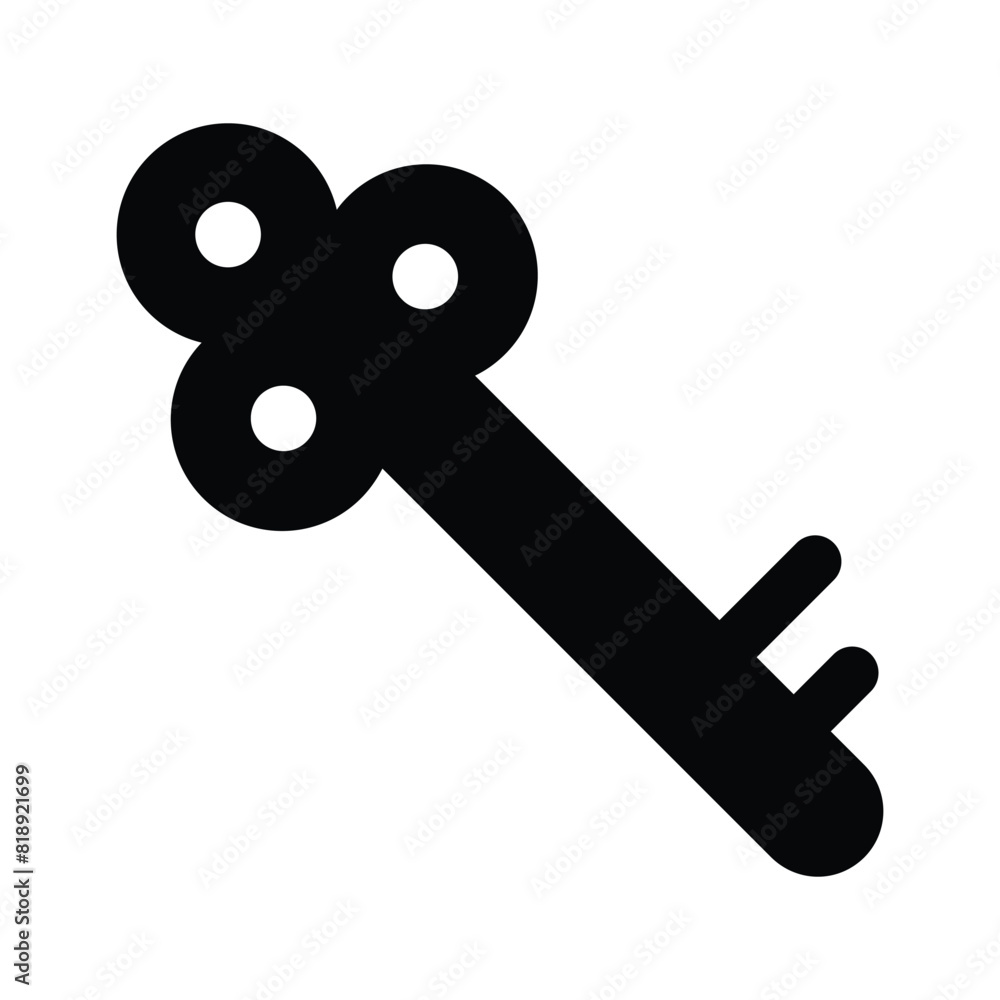 A trendy icon of private key, protection key vector design A trendy icon of private key, protection key vector design