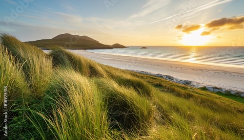 grass by beach of luskentyre during sunset