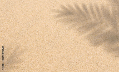 Sand texture background with palm leaves silhouette,Coconut leaf Shadow on Brown Sandy Beach,Top view Sand Surface,Backdrop background Wide Horizon Desert dune for Summer Product Presentation