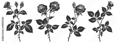 Collection of decorative roses with leaves, depicted as black silhouette vector icons.