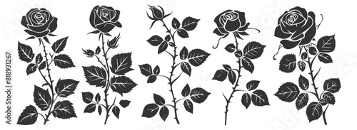 Collection of decorative roses with leaves  depicted as black silhouette vector icons.