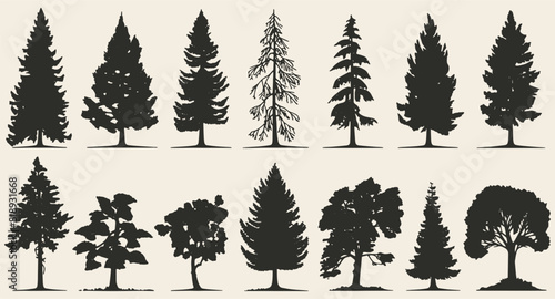 Set of vintage tree and forest silhouettes in monochrome style  isolated in vector illustrations.