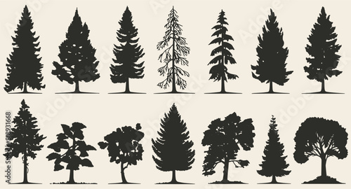 Set of vintage tree and forest silhouettes in monochrome style, isolated in vector illustrations.