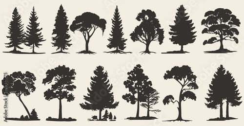 Set of vintage tree and forest silhouettes in monochrome style, isolated in vector illustrations.