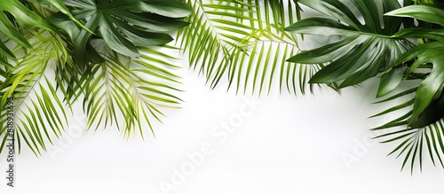 A summer themed image featuring tropical palm leaves against a white background arranged in a flat lay style with a top down perspective and ample copy space