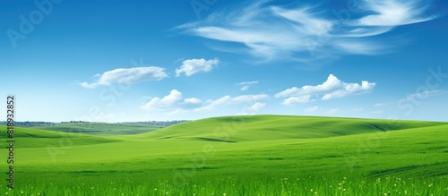 A picturesque landscape with a verdant field stretching out beneath a clear blue sky. Copyspace image