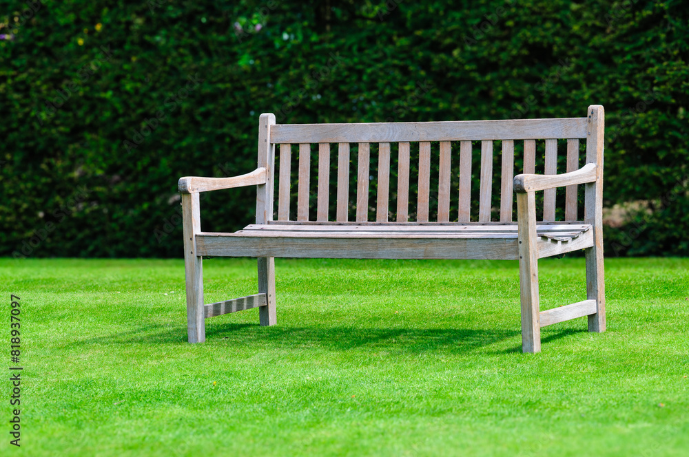 white bench in the park white bench in the park