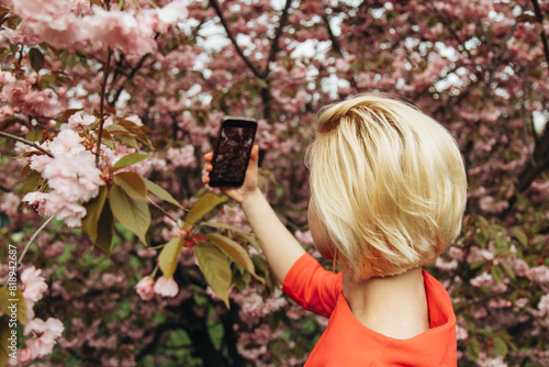 A beautiful woman in a peach sweater takes a photo of sakura.