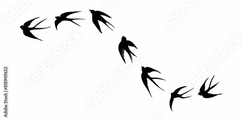 black silhouette or illustration of a swallow