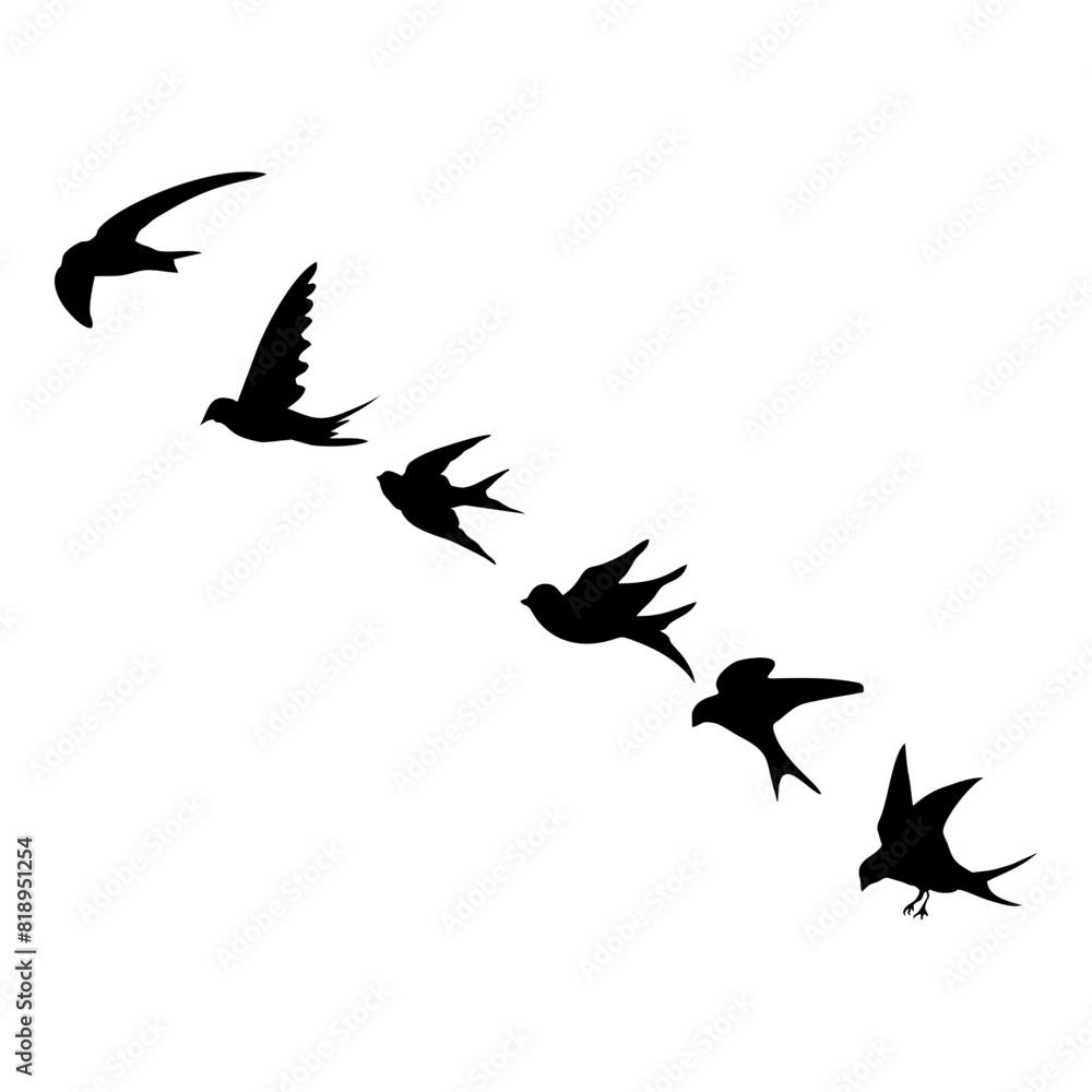 Fototapeta premium black silhouette or illustration of a swallow