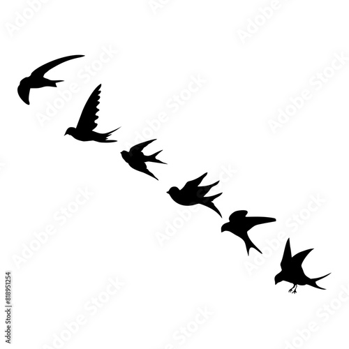 black silhouette or illustration of a swallow © Kuldi