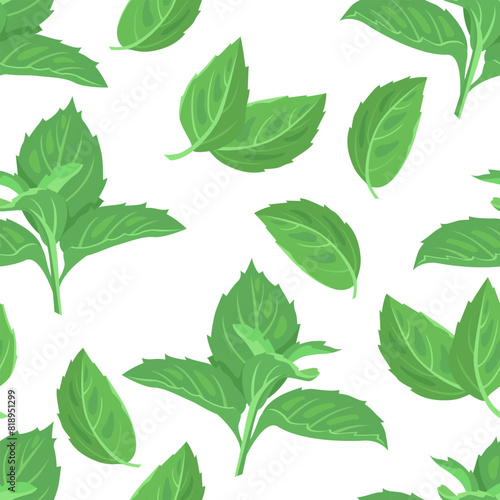 Green mint leaves seamless pattern. Botanical background. Vector cartoon illustration. © Sunnydream