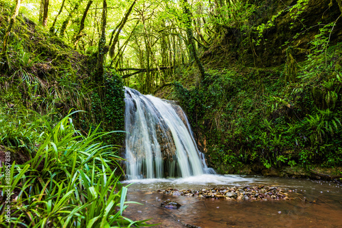 Fototapeta Cascade de l’Audoulou, au cœur de la Forêt de la Grésigne à Puycelsi