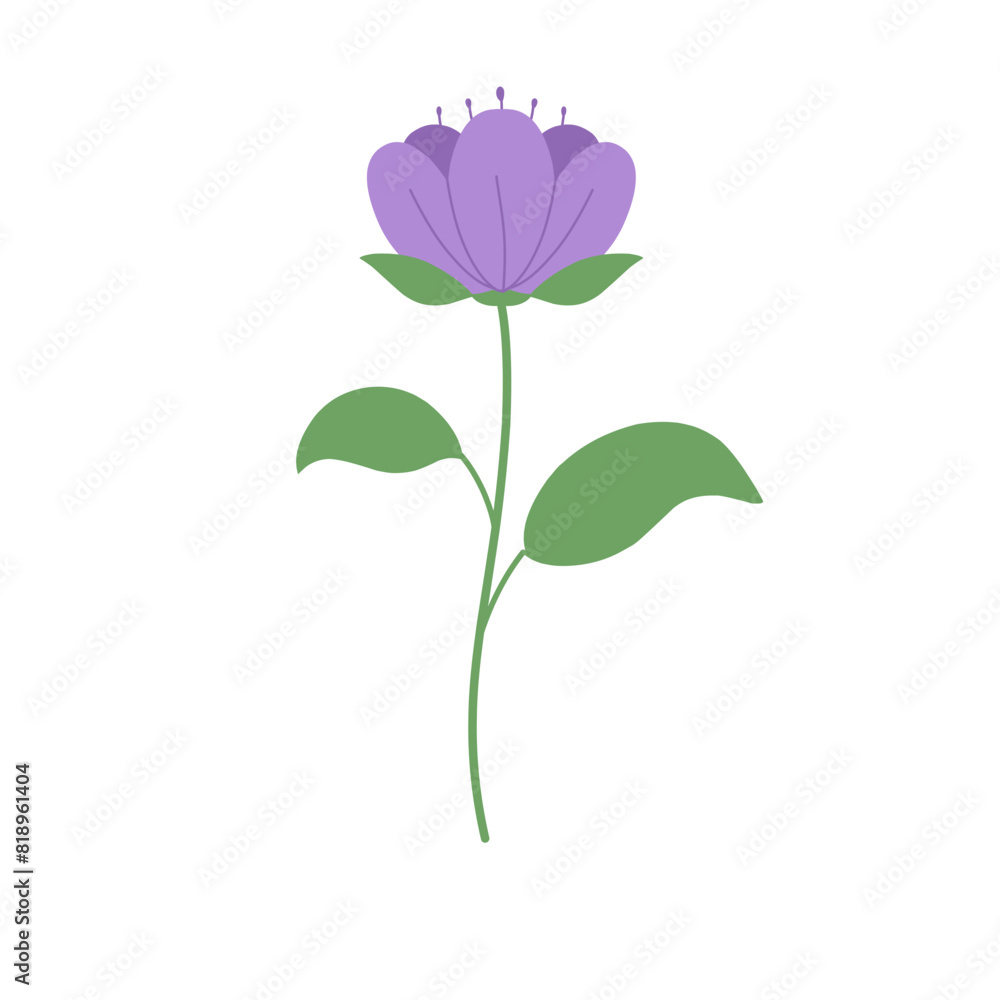 tulip illustration floral leaf cute drawing tulip illustration floral leaf cute drawing