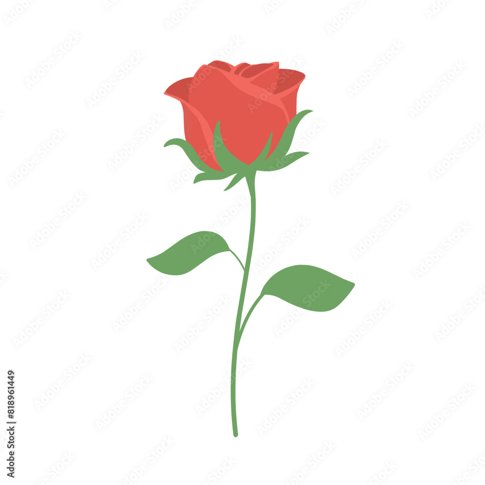 rose illustration floral leaf cute drawing rose illustration floral leaf cute drawing