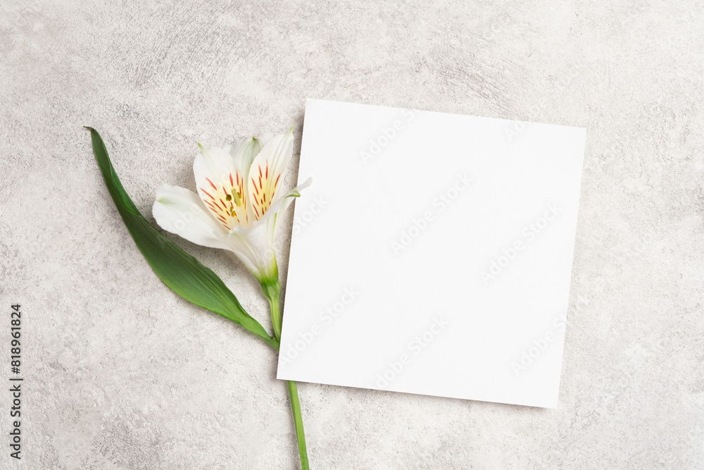 Empty square paper card mockup with copy space, white flower decor on stony background Empty square paper card mockup with copy space, white flower decor on stony background