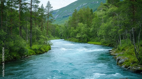 forest and the crystal blue river in Jotunheimen National Park 