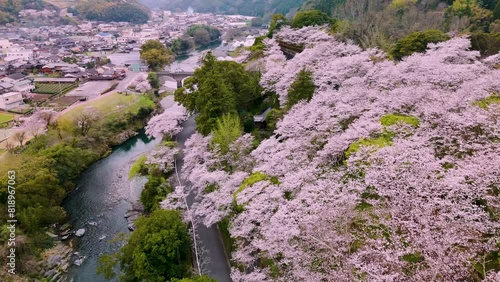 ドローンで撮影した日本のさくら