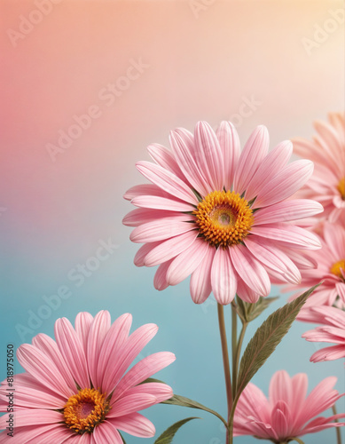 Pink flowers with yellow center and green stems against a gradient background of blue and pink with copy space.