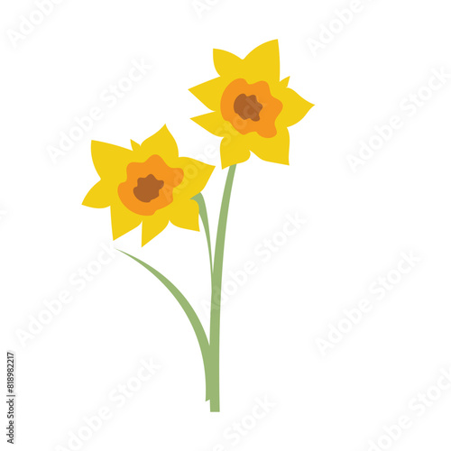 Dafodil