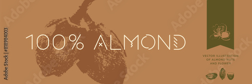 Vintage nut bar banner template with vector almond drawings in hand-drawn style. Isolated almonds illustration on brown background. Panoramic marzipan paste label design. Chocolate with almonds.