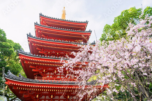 Cherry sakura blossom by red pagoda of Tochoji Temple, Fukuoka photo