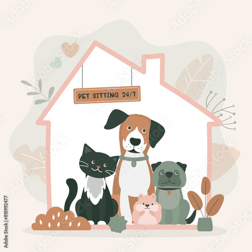 Pet sitting services. Various pets at home. Overnight house sitter. Domestic animal daycare. Adorable cats, dogs and hamster